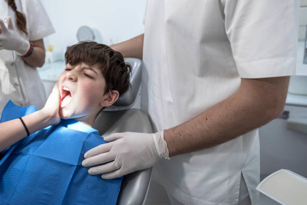 Best Emergency X-Rays and Diagnostics in Oakland, NE