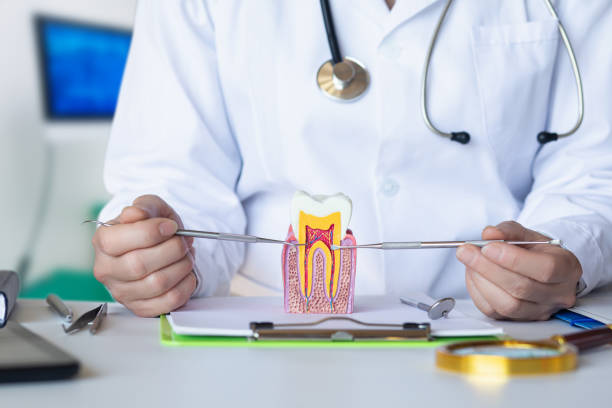 Best Walk-In Emergency Dental Services in Oakland, NE